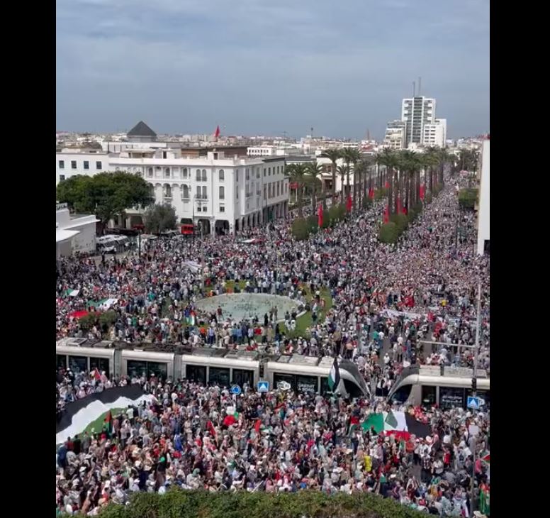 Video: Massive protest in Rabat, Morocco in solidarity with Gaza people
