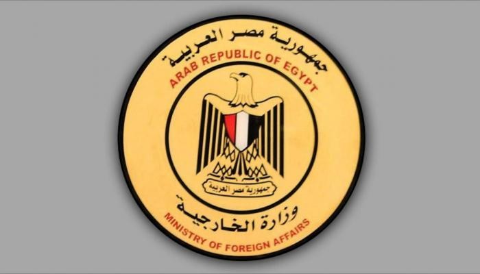 Egypt calls for intl. summit over Palestinian crisis: Report