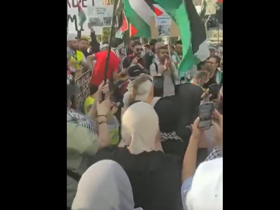 Video: Hundreds in Vienna, Austria protest against Israeli offensive in Gaza