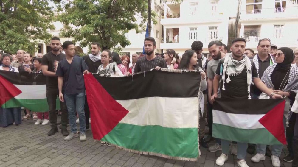 Hundreds gather in Cuba in a pro-Palestinian demonstration (+Video)