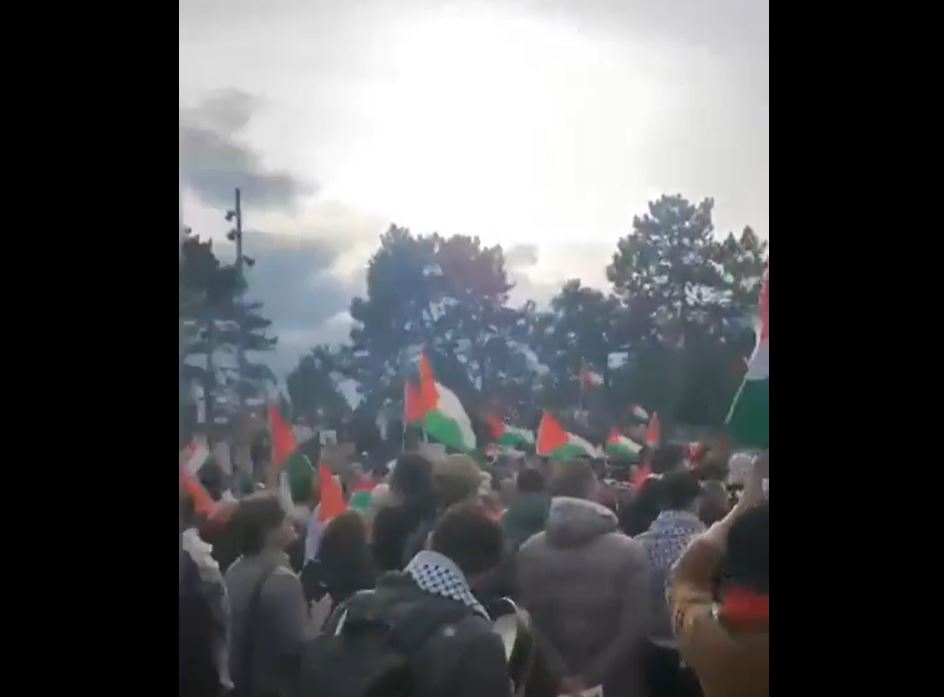 Video: Thousands rally near Intl Criminal Court of The Hague, Netherlands in support of Palestine