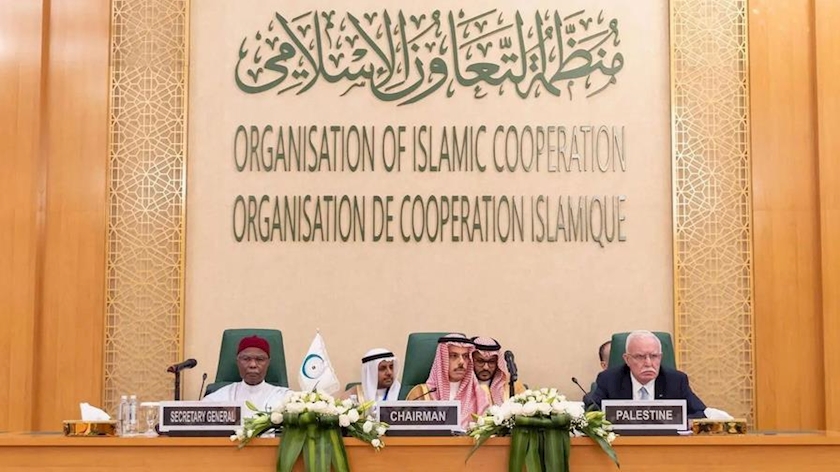 OIC stresses on Palestinian rights for self-defense against Israel