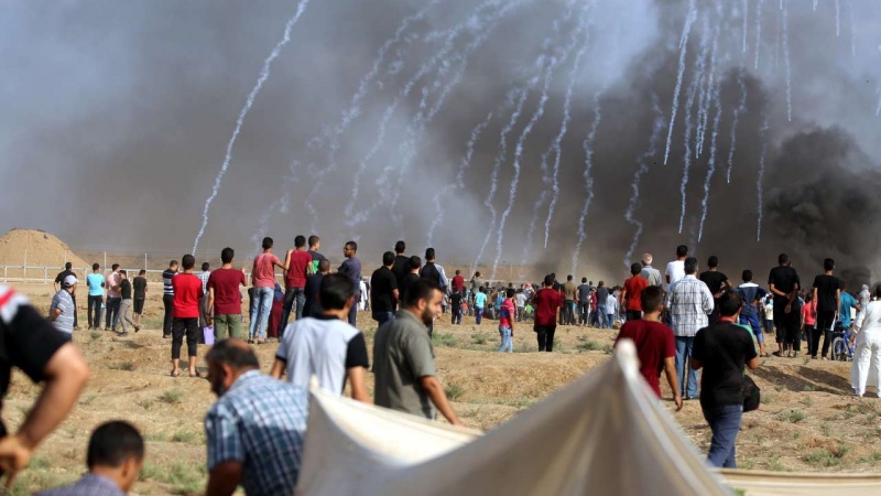 Dari Muqawama di Tepi Barat hingga Demo Hak Kepulangan di Jalur Gaza