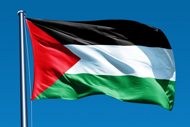 ویدیو | اعلام همبستگی با فلسطینیان از سوی شهروندان کوبورگ، استرالیا 