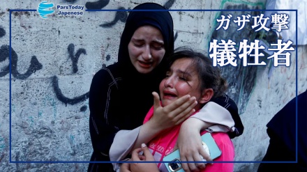 イスラエルの2週間にわたるガザ攻撃、殉教者の7割が女性と子ども