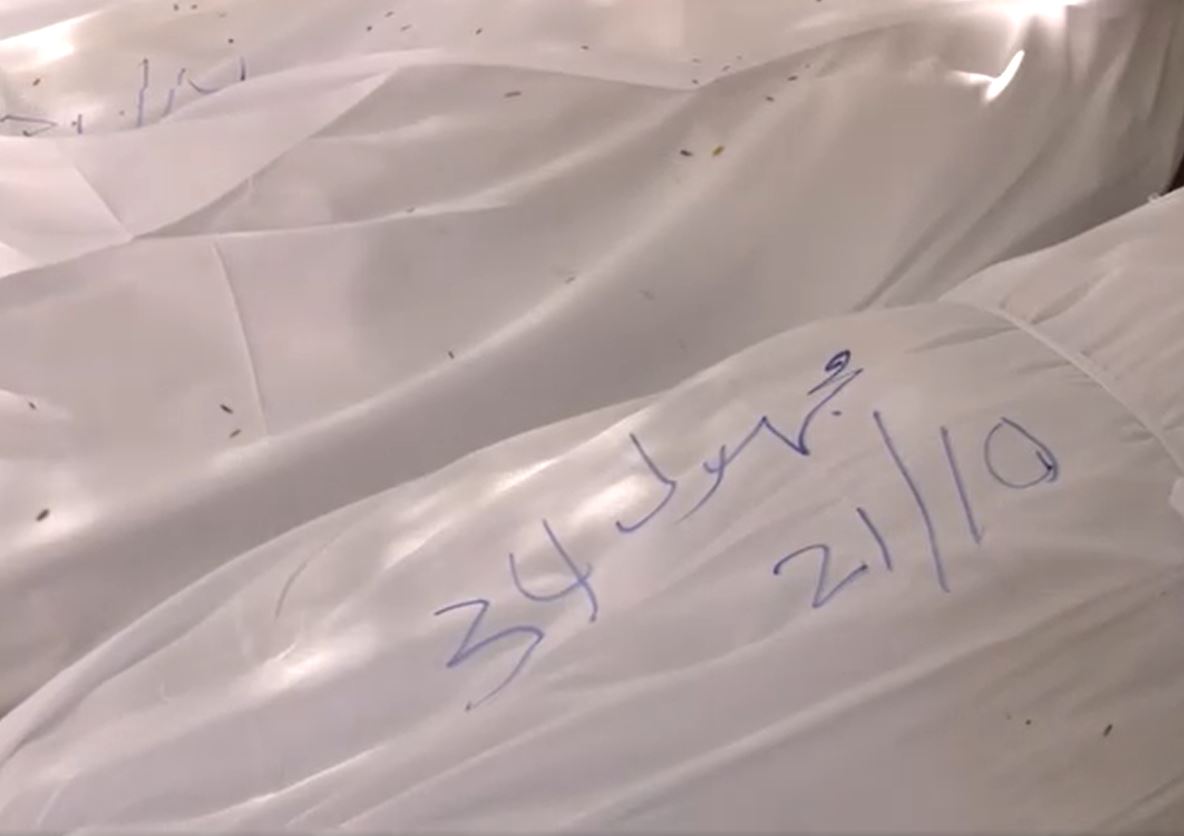 Video: 43 unidentified Palestinian martyrs buried in emergency mass cemetery in Gaza