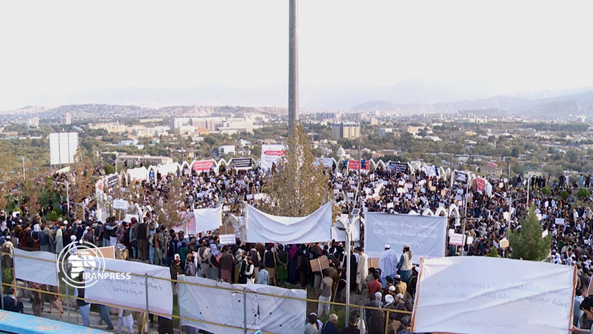 Afghan people support of oppressed people of Gaza (+Video)