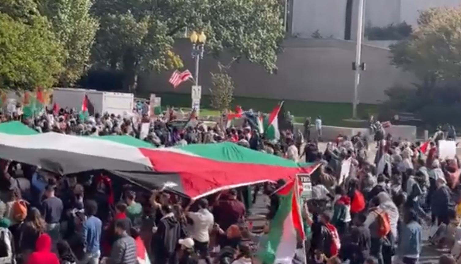Video: Massive pro-Palestine rally in Washington, US