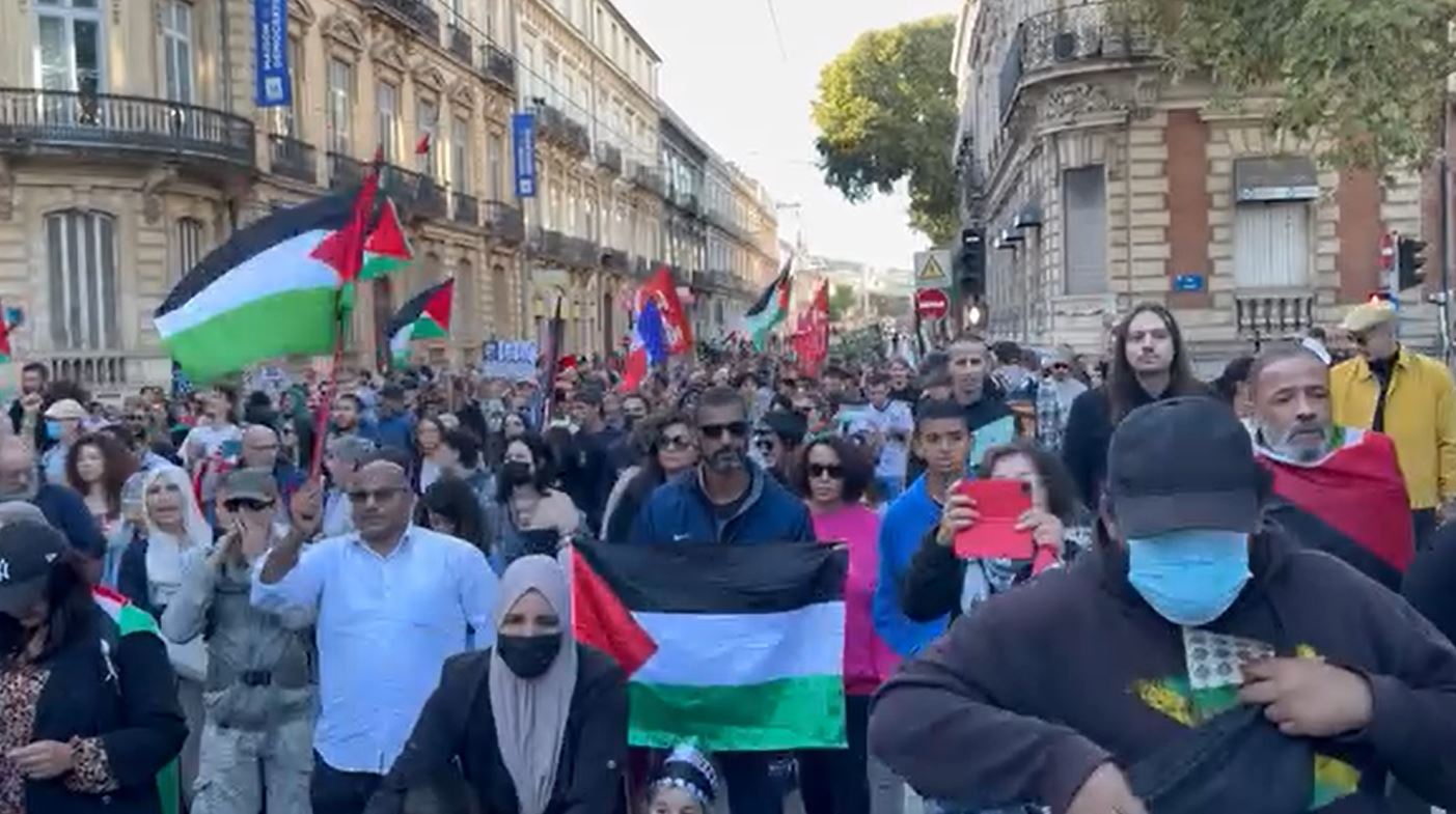 Video: Massive pro-Palestine rally in Montpellier, France 