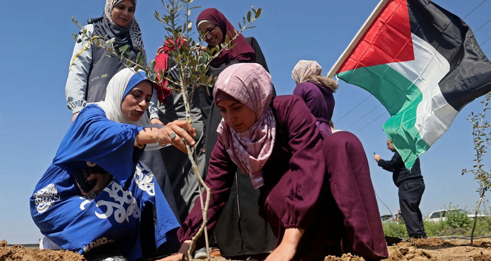  Analysis: West Bank becoming second Gaza in resistance to Israeli atrocities