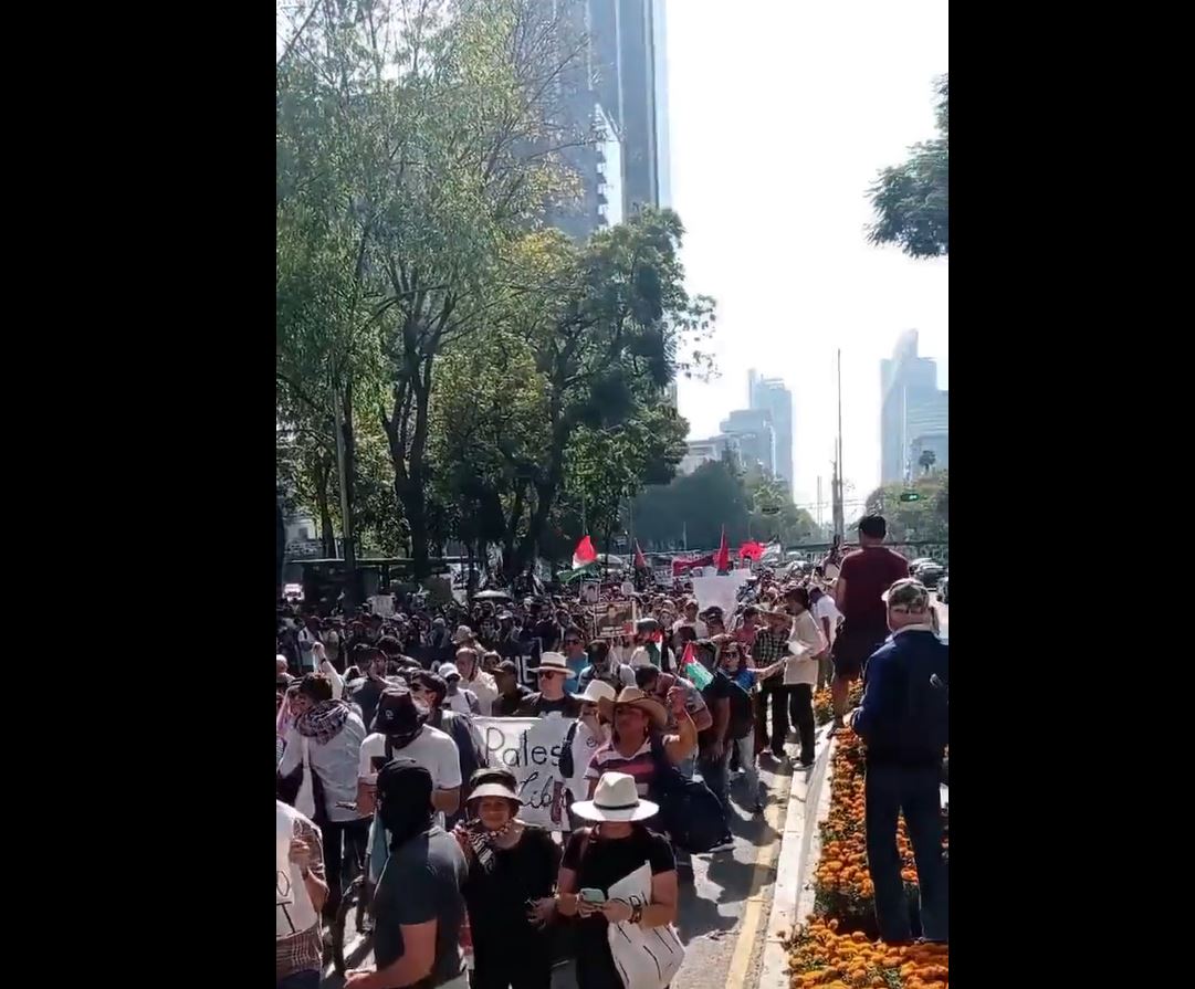 Video 2: Massive rally in Mexico in solidarity with Gaza