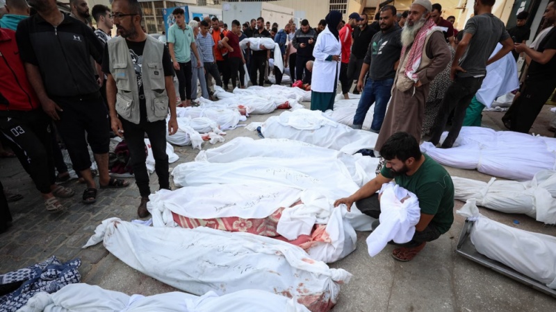 Gaza, 500 palestinesi uccisi in un solo giorno Gaza, 500 palestinesi uccisi in un solo giorno