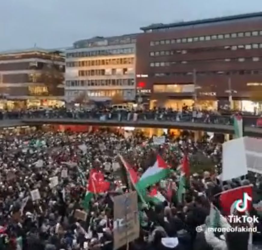Video: Massive pro-Palestine rally in Stockholm, Sweden
