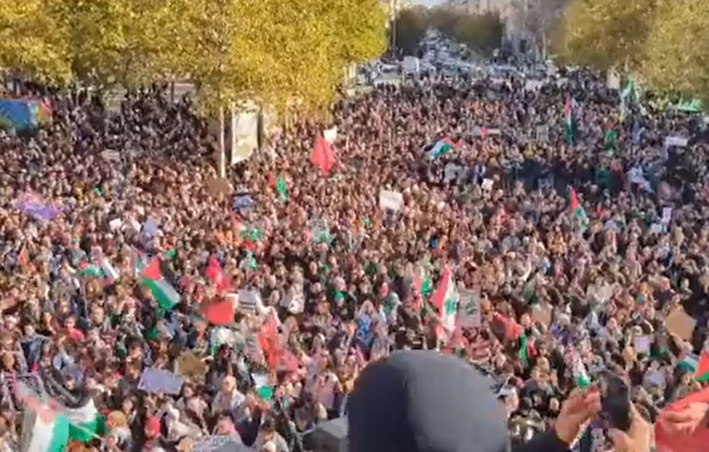 Video: Thousands in Paris, France take to streets in support of Palestinians of Gaza