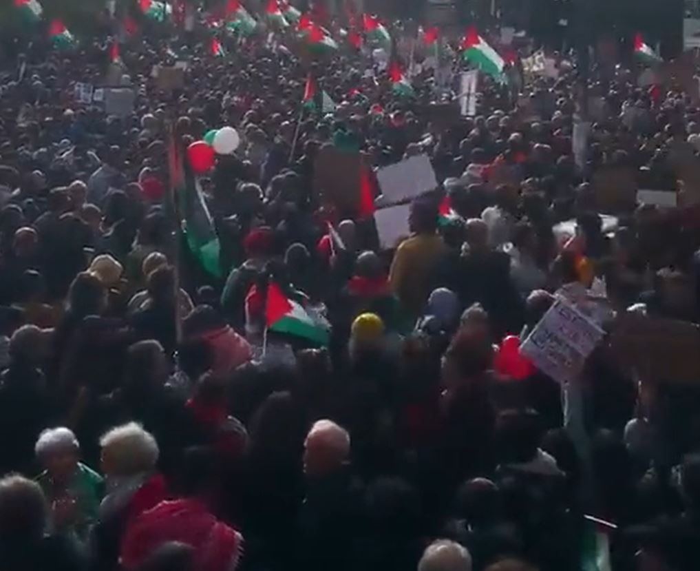 Video: Massive demonstration in Brussels, Belgium in solidarity with Gaza