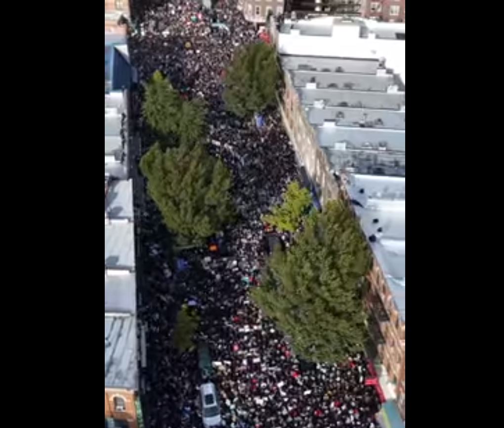 Video: New Yorkers massive march in solidarity with Palestine