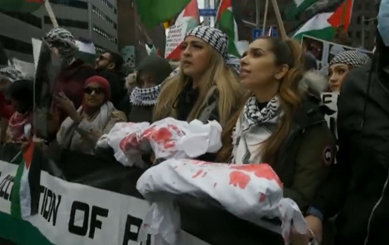 Video: Mass rally for Palestine in Toronto, Canada