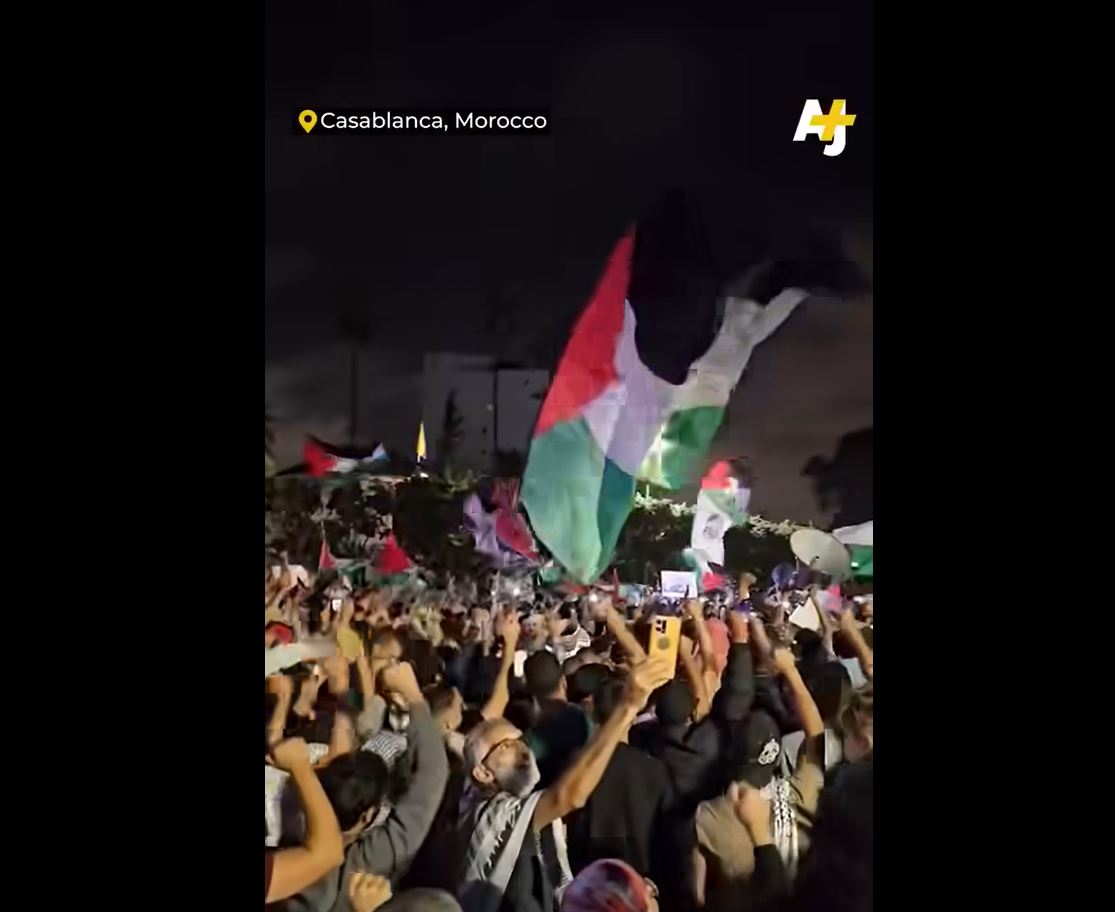 Video 2: "United for Palestine", Global Mass Protests to condemn Israeli genocide in Gaza