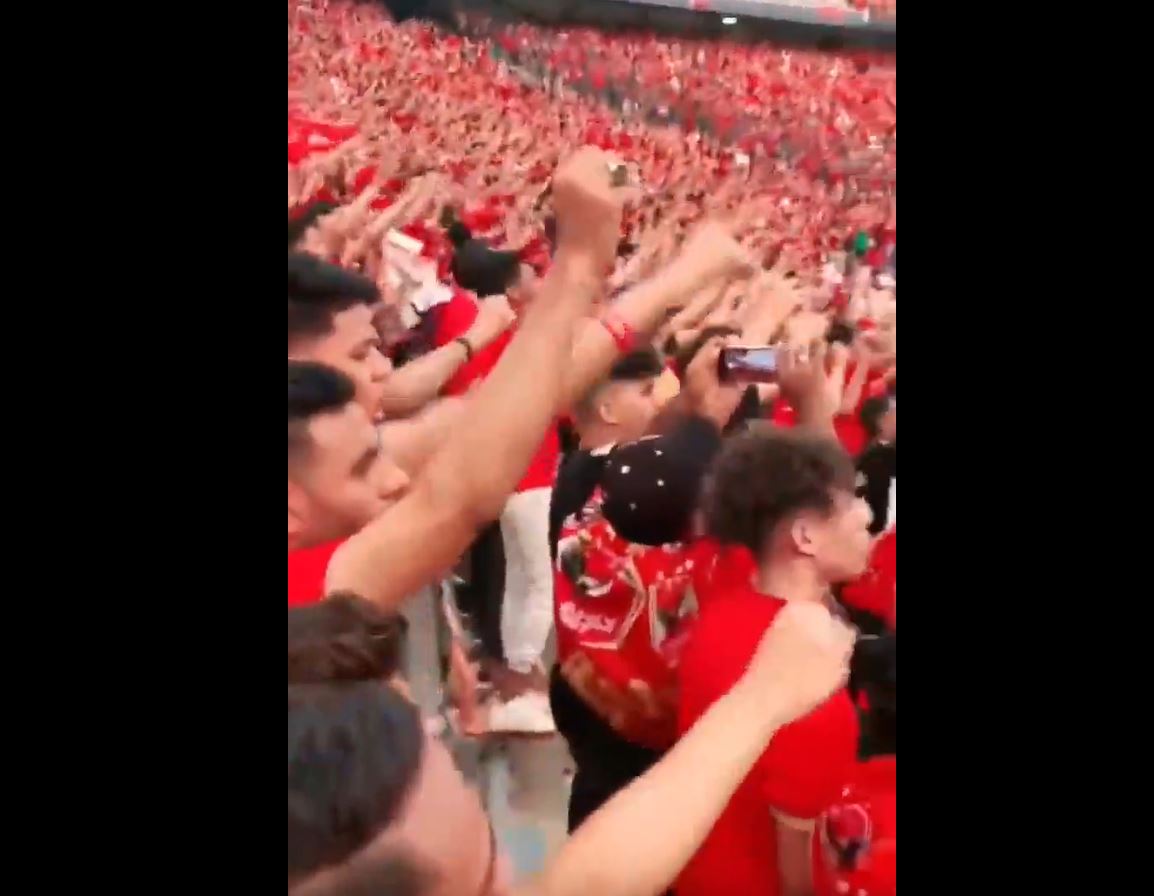 Video: Thousands of Egyptian Al-Ahly fan in support of Gaza "We sacrifice our souls, blood for Palestine"