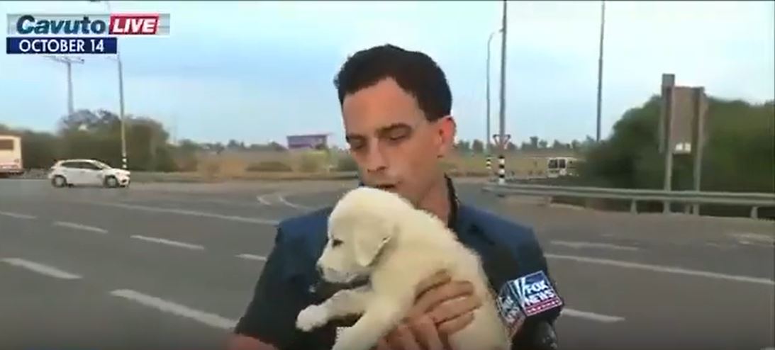 Video: American Fox News channel concerns about Israeli pets while genocides in Gaza continuous 