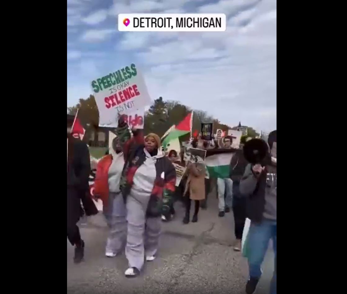 Video: Solidarity rally with Palestine in Detroit, Michigan
