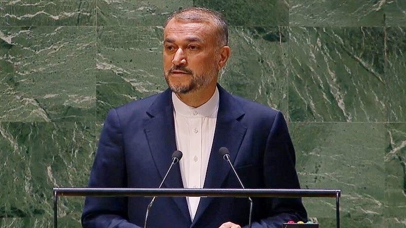  Iran's FM: US won’t be spared from fire if Israel keeps up Gaza genocide