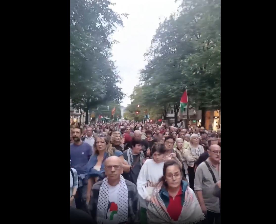 Video: A massive pro-Palestine protest in Bilbao, Spain