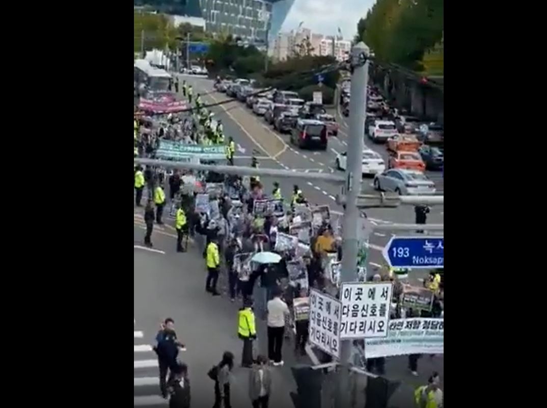 Video: Hundreds in South Korea march in support of Palestinian people