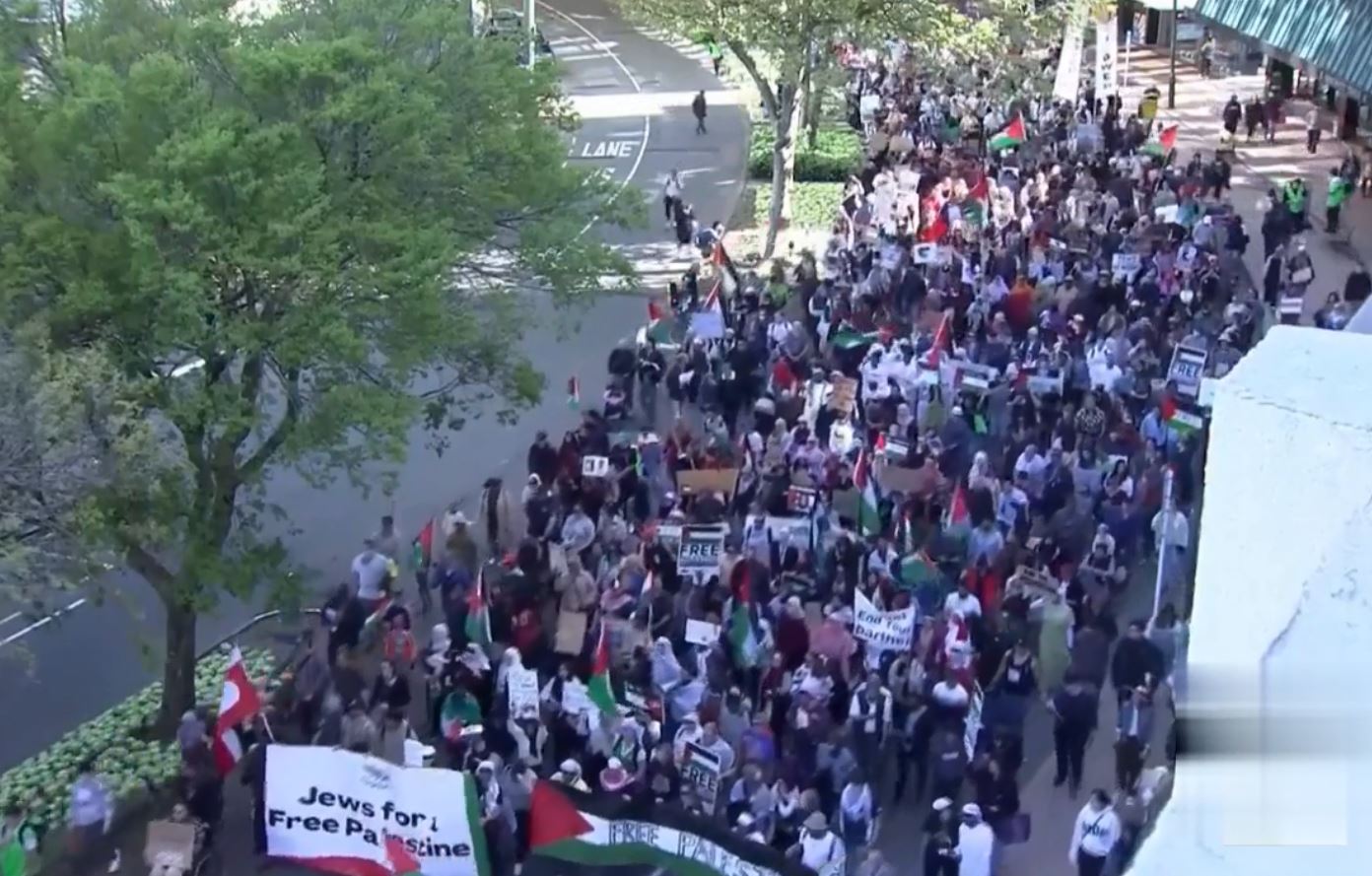 Video: Massive protest in Wellington, New Zealand in support of Palestinian people