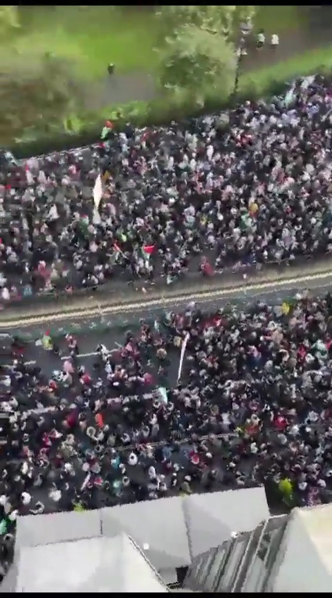 London Dilanda Aksi Demonstrasi Besar-besaran Mendukung Palestina dan Mengecam Israel 