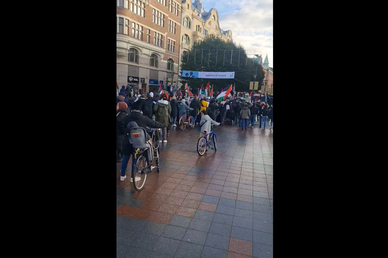 Video: Hundreds rally in solidarity with Palestine in Malmo, Sweden