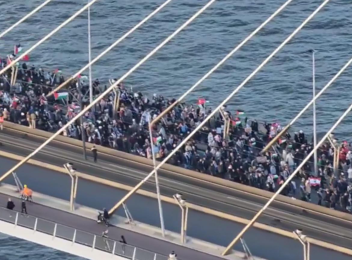 Video: Massive demonstration in support of Palestine in Rotterdam, Netherlands