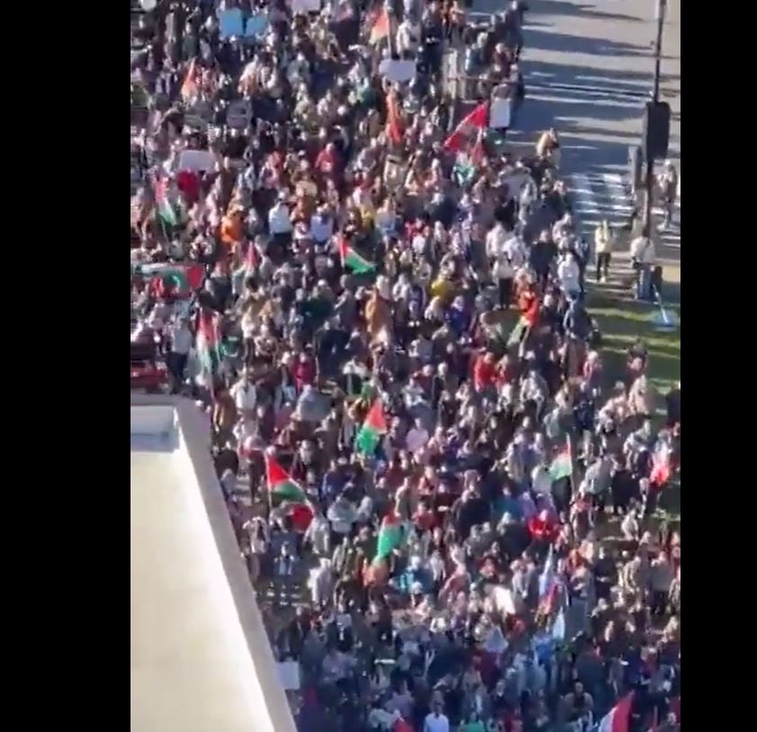 Video: Solidarity with Palestine in Montreal, Canada 