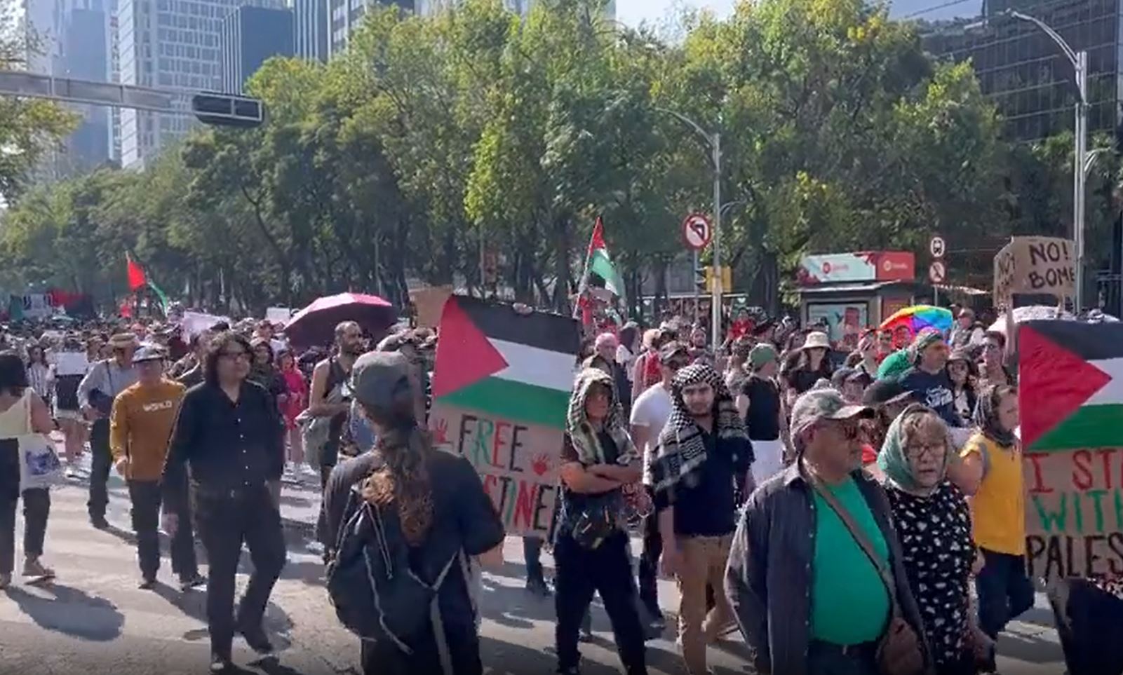 Video: Massive pro-Palestine rally in Mexico City, Mexico