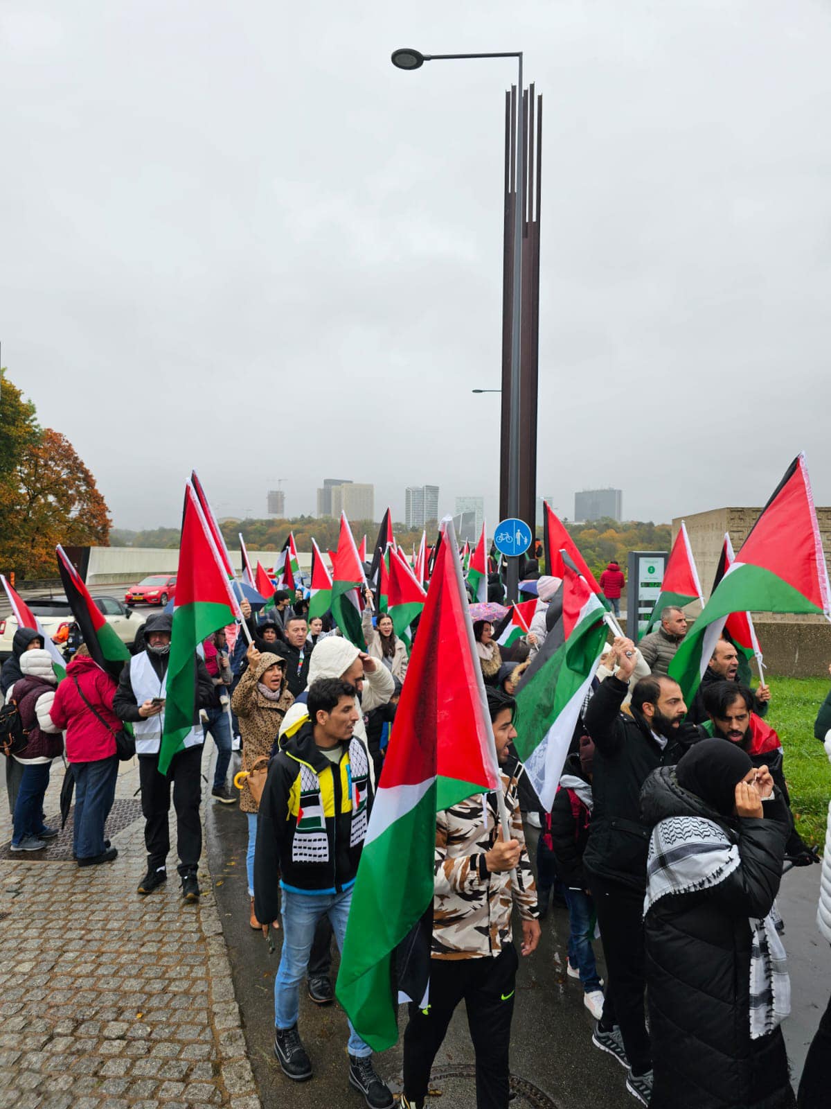 فيديو  و تقرير مصور / إجتماع ومظاهرة للتضامن مع الشعب الفلسطيني لوكسمبورغ