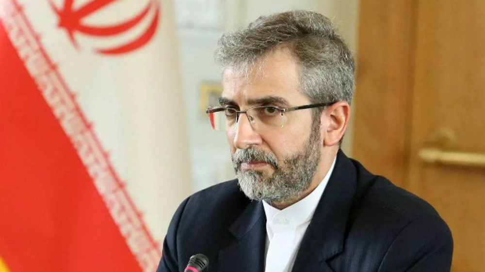 Israel will be annihilated if war on Gaza expands: Iran's deputy FM