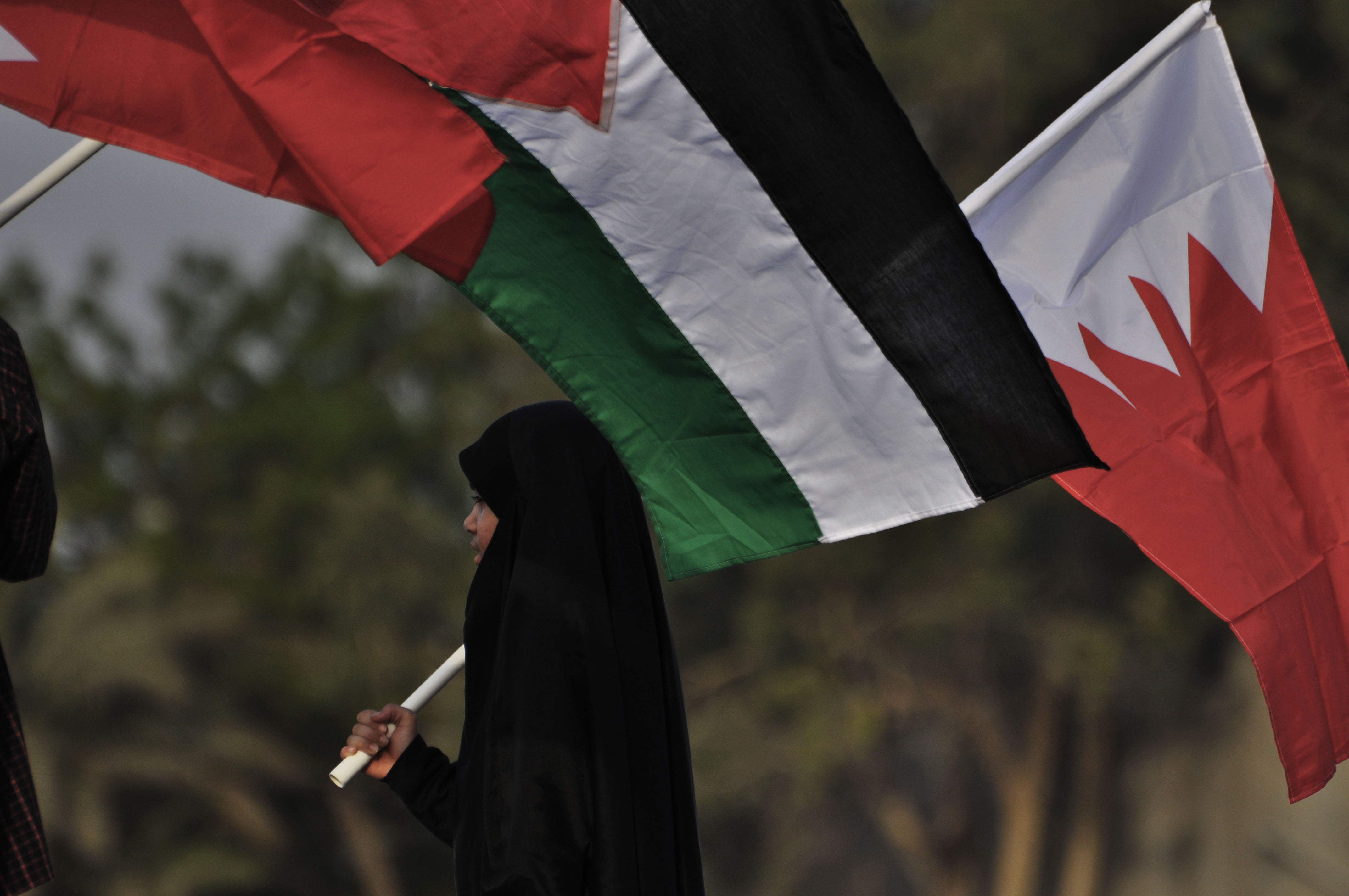 Mass protest in Bahrain in support of Palestinians