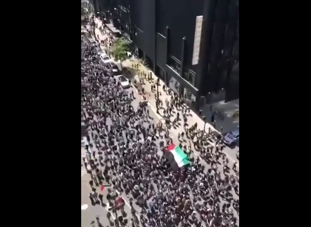 Video: Thousands rallied in Chicago in solidarity with Palestinians