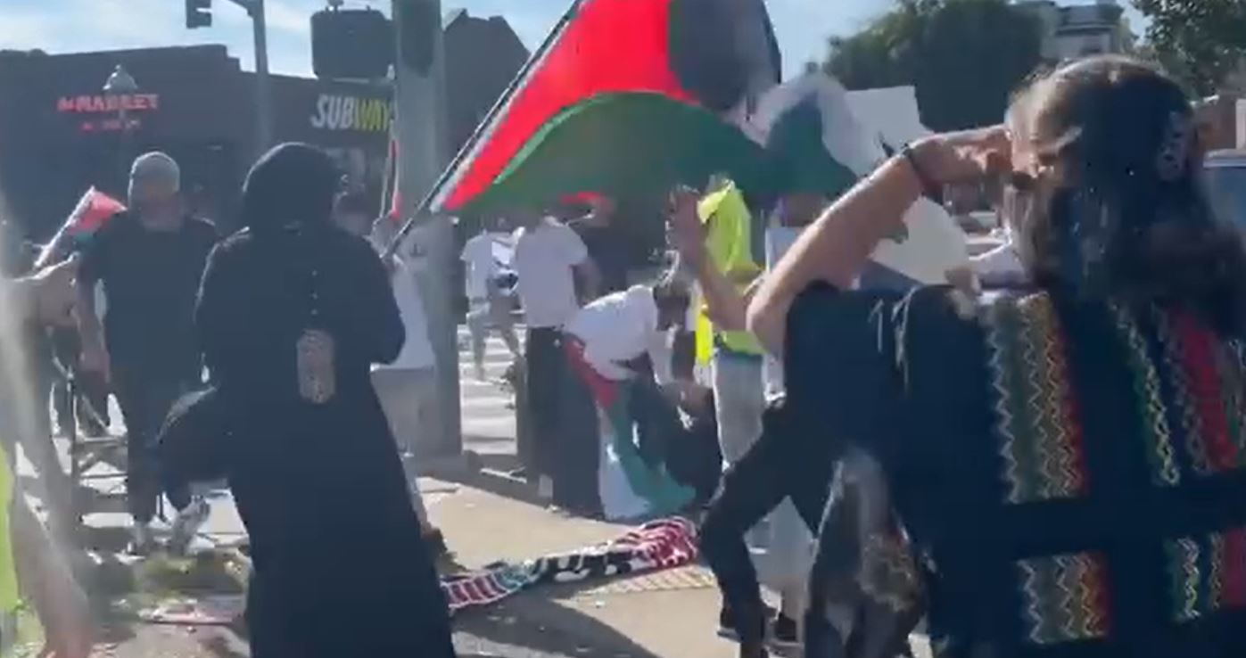 Video: Israeli supporters attack pro-Palestinian activists in Washington, US