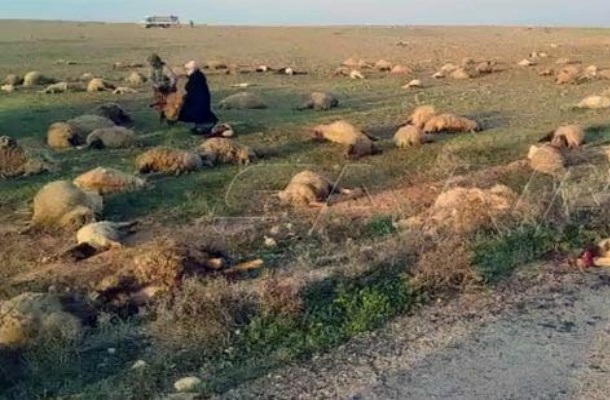 8 شهداء وجرحى بهجوم إرهابي على رعاة أغنام بريف دير الزور
