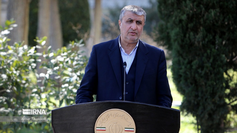  Ислами: Мы продолжим работу в текущем режиме до полного снятия санкций