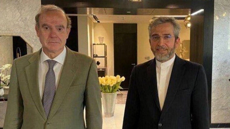 Беседа заместителя министра иностранных дел Ирана с Энрике Морой