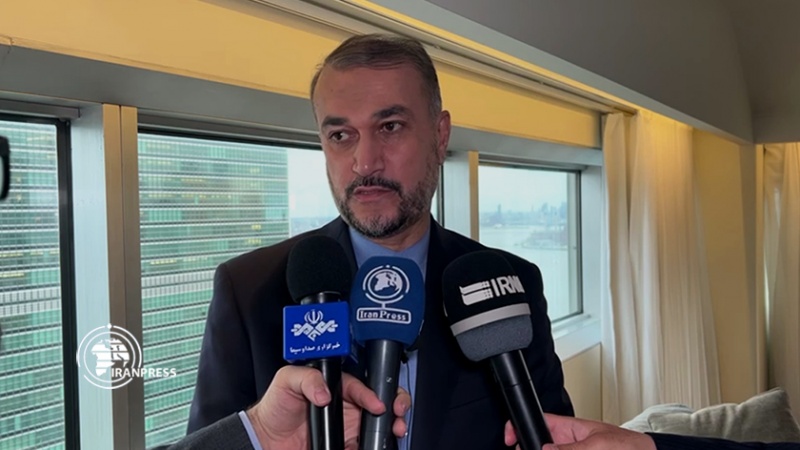 Amirabdollahian: Iran Dukung Suriah Perangi Terorisme