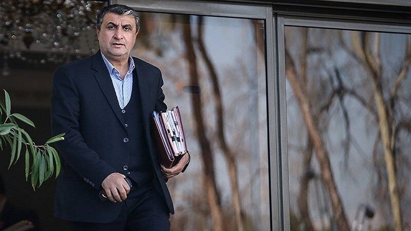 Вуруди раиси Созмони энержии атомии Эрон ба Вена