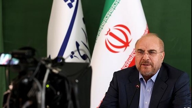  Калибаф: Исламские страны должны разобраться с теми, кто оскорбляет мусульман