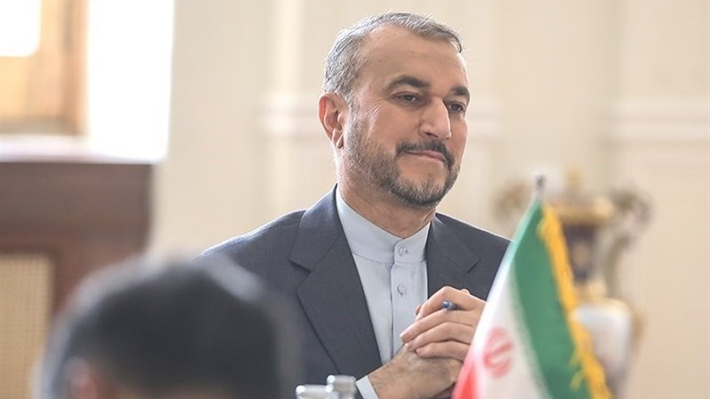 Амир-Абдоллахиан поздравил страну с успешным запуском спутника "Нур-3"