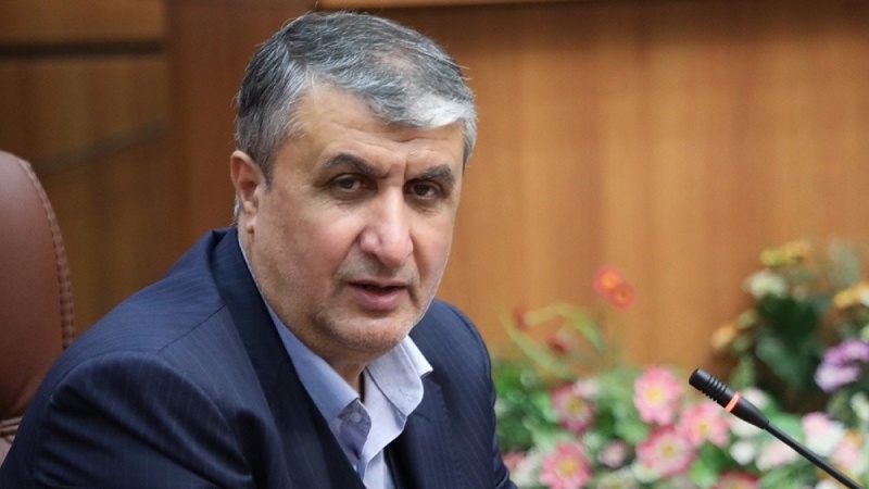 Эслами: Иран проверяется агентством в 10 раз чаще, чем другие страны