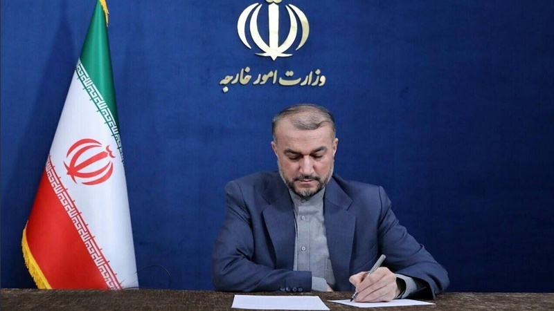 Амир-Абдоллахиан выразил соболезнования в связи с пожаром в Найнаве