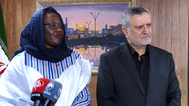  Развитие сотрудничества Ирана и Буркина-Фасо в сфере энергетики и технического и профессионального образования