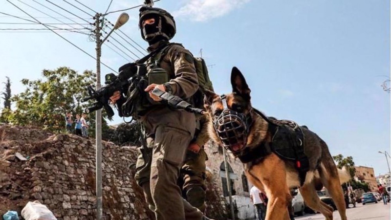  Hamas: Israel verstößt gegen internationales Recht, während Welt die Verbrechen des Regimes ignoriert